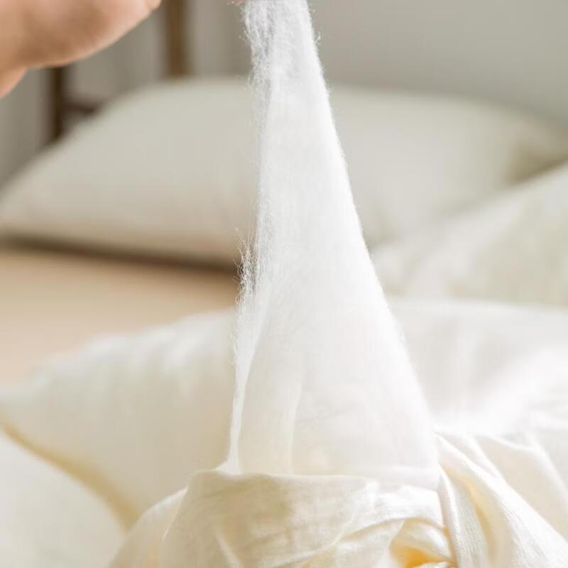 Brangdy Thickened Soybean Fiber Winter Quilt