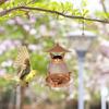 Cute Parrot Feeding Station Cat-Shaped Bird Water Bowl Bird Raising Tool Bird Feeder  Tree