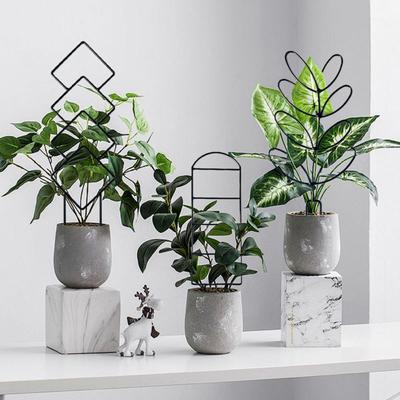 Tools Iron Plant Supports Indoor Outdoor Trellis for Climbing Plants Universal Garden Trellis for Houseplants Flowers
