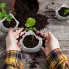100/500 Stück Biologisch abbaubare Anzuchttöpfe Vlies Pflanzen Samen Anzuchttaschen Garten Blumen Gemüse Setzlingspflege Zubehör