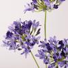 Long Branch Agapanthus Flowers Branch Fake Artificial Flower Fake Lotus Flower  Table Accessories