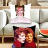 Singer D-David B-Bowie cool  Pillowcases cushion covers living room sofas home decor gifts