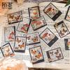 30 pcs Vintage Plant Flowers PET Stickers pack Decorative collage Adhesive Diy Hand Account Diary Album Scrapbooking accessories