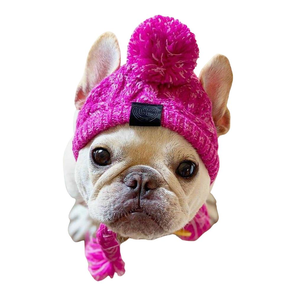 Warm Pet Dog Knitted Hat Windproof Headwear for Autumn Winter French Bulldog Hat for Dogs Chihuahua Hat Fluffy Ball Pet Hat