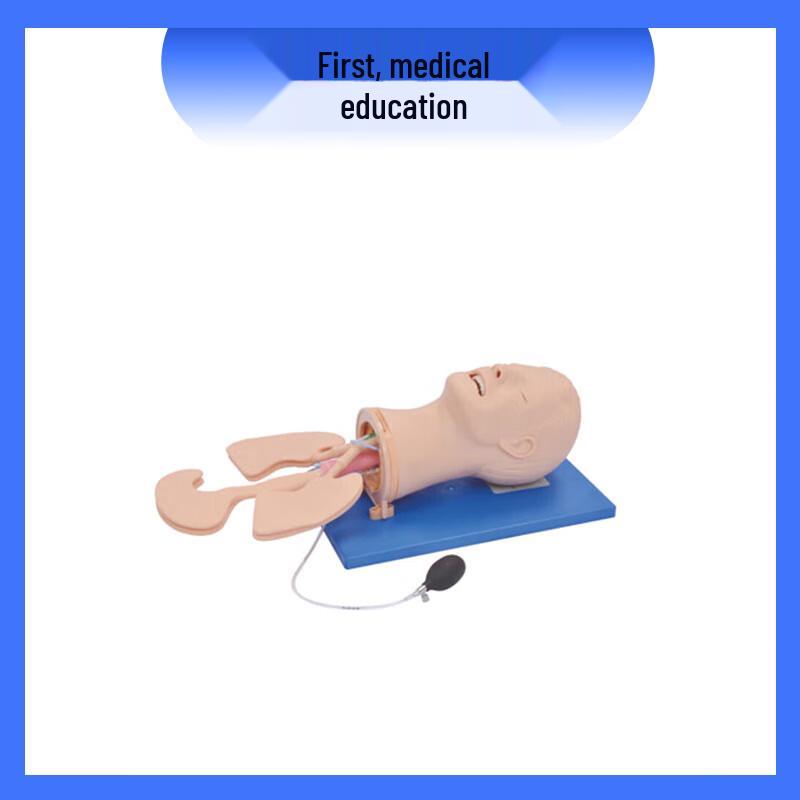 Advanced Airway Management Simulator LY-J51+