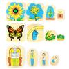 Wooden Kids Animal/ Plant Life Cycle 3D Puzzle Toy Montessori Teaching Aids Multi-Layer Jigsaw Early Learning Toys For Preschool