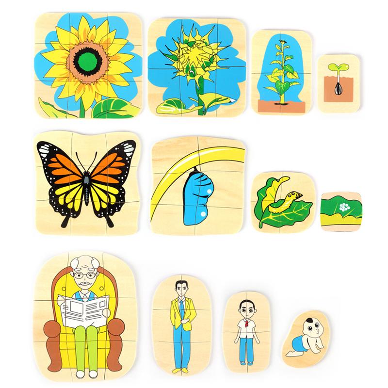 Wooden Kids Animal/ Plant Life Cycle 3D Puzzle Toy Montessori Teaching Aids Multi-Layer Jigsaw Early Learning Toys For Preschool