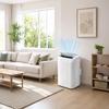 Reversible Mobile Air Conditioner - 12000 Btu - Hot & Cold
