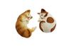speed mao Cute Healing Incense Holder Incense Stick Holder 9 Holes Cat Set 1 (Style 2)