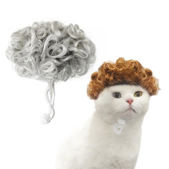 Hunde Cosplay Parykk Morsom Katteparykk med Justerbart Elastisk Bånd Store Bølgete Korte Krøller