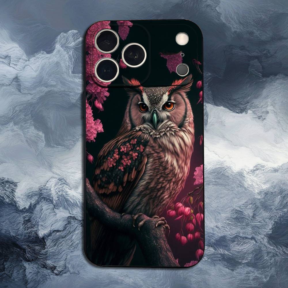 Cute C-Colorful Owl B-Bird For iPhone 12,14,13,15,8,7,16,11,17,X,Mini,Plus,Pro,XR,SE,XS,Max,Soft Silicone Black Case