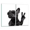 GLASS CUTTING BOARD 2x 30x52 DOG