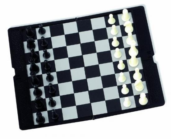 Aquamarine Games Recambio De Fichas De Madera Para Damas Y Ajedrez – 24 Fichas De 2,7 Cm, Estuche De Plástico Incluido, Natural Y Duradero