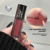 Punk Metal Matte Velvet Lip Gloss with A White Gray Powder Matte Long-lasting Lip Gloss for Women