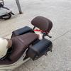 Suitable For Zongshen ZS125-5A Youmi 125 Non-destructive Modified Shelf Rear Shelf Backrest Tail Wing Leather Lumbar Support