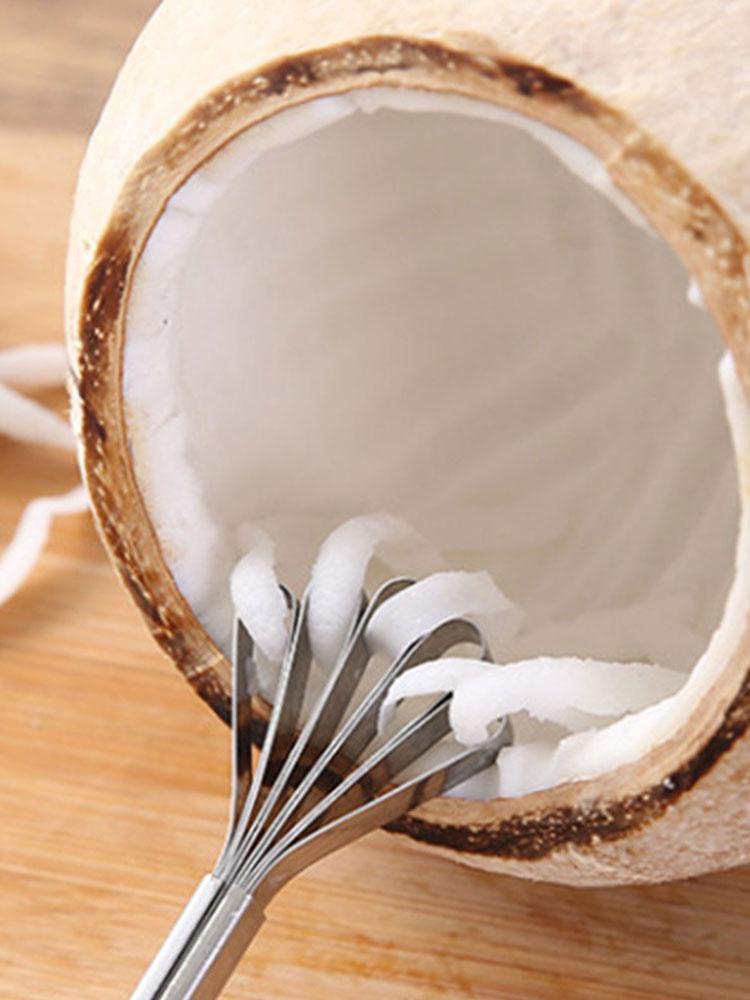 Kreative Kokosraspel Edelstahl Kokoshobel Haushalt Kokosraspel Fischschuppenhobel Küchenhelfer