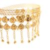 1Pc Women Belly Dance Hairpin Coins Tassels Gypsy Headband Indian Dance Performance Clothing Accessories Head Chain