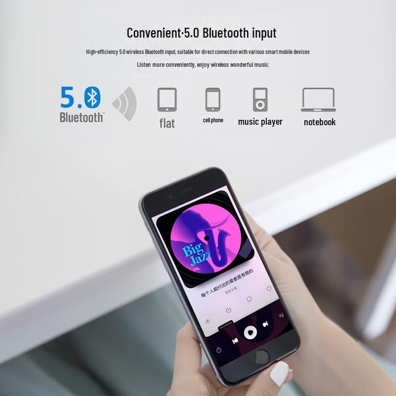 HiVi D1100 Bluetooth 2.0 Channel Active Speaker