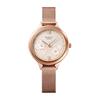 Casio Sheen Women's Stainless Steel 50M Water Resistant Analog Quartz Watch SHE-4551PGM-4A