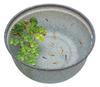 GEX Medaka Genki Medaka Breeding Mikage Outer Diameter 42cm X Height Outdoor 2 Drainage Water Lily Water Pot, 420, Approx. 20cm, Approx. 16L,