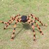 Halloween Spider Props Decoration 50'' Giant Scary Spider+200'' Triangular Giant Spider Web for Halloween Yard Lawn Party Decor