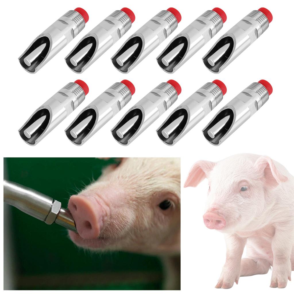 10 Dispensadores Automáticos de Água com Mamilo de Aço Inoxidável para Porcos, Bico Automático de Água, Mamilo de Beber