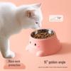 Stainless Steel Anti-Spill Pet Food and Water Bowl for Cats and Dogs