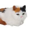 Soft Plush Cat Doll High Simulation Opening Eyes Lifelike Animal Toy for Desk Decoration Colorful Hair