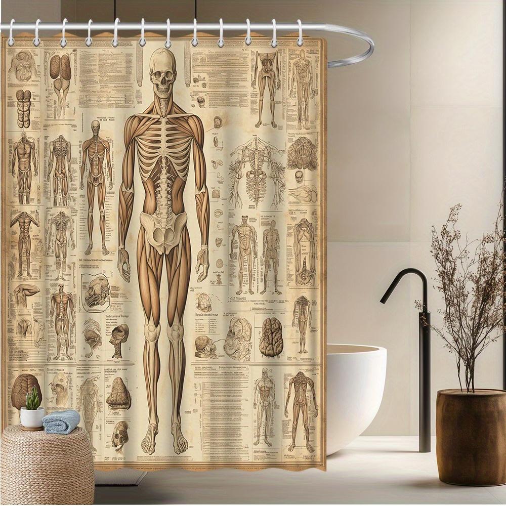 Vintage Anatomische Studie Duschvorhang Menschlicher Körper Skelett Diagramm Wissenschaftlicher Druck Polyester Badezimmer Dekor Neuheit Heimkunst