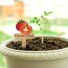 15 Pcs Wooden Plant Labels Vegetable Names And Patterns Markers T Type Plant Labels for Seedlings Potted Plants Identification