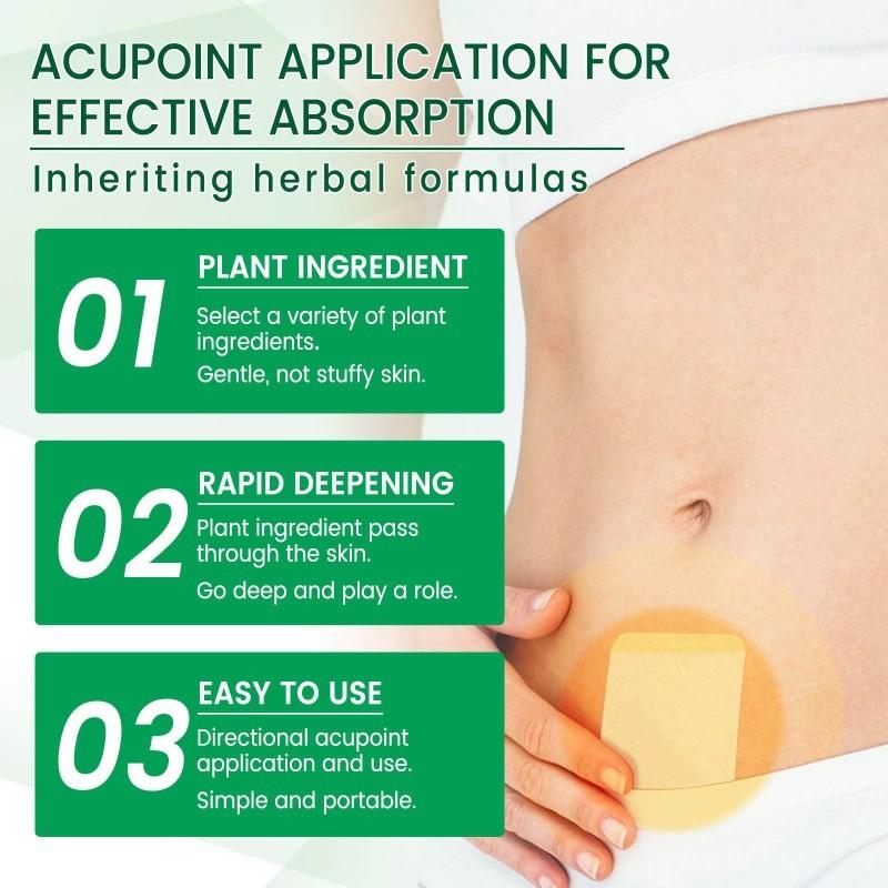 Jaysuing Körperpflege-Pflaster für Feuchtigkeitslinderung und Komfort mit natürlichem Beifußextrakt