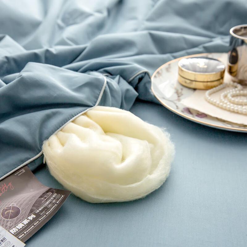 IYIAI Dragonfly Cotton Soy Anti-Mite Summer Quilt