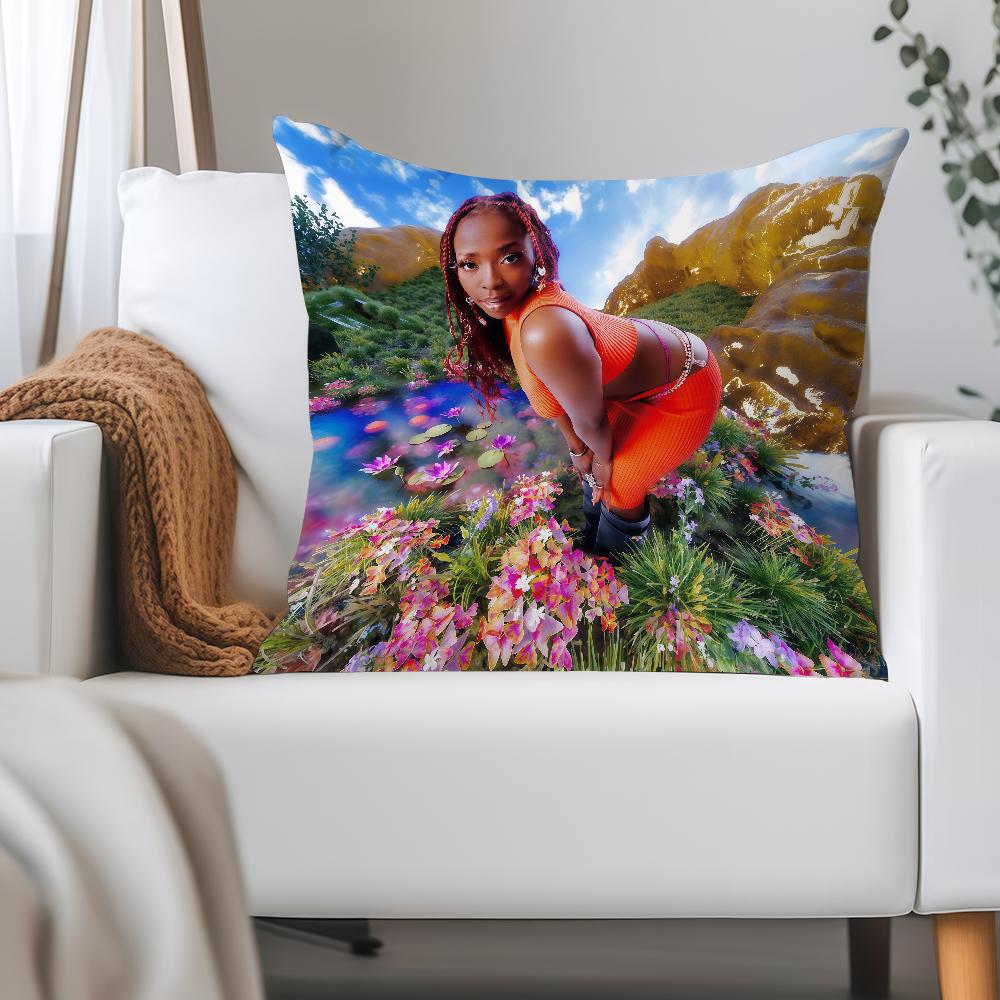 T-theodora Petite Abebi Pillow Case Applicable Space For Guest Rooms Interiors Cars Office House Decoration