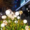 Solar LED Dandelion Ground Light