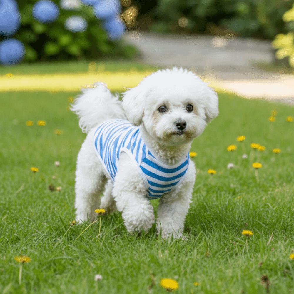 Soft Fabric Dog Cooling Vest Round Neck Puppy Short Sleeve Pet Striped T-Shirt  Spring Summer