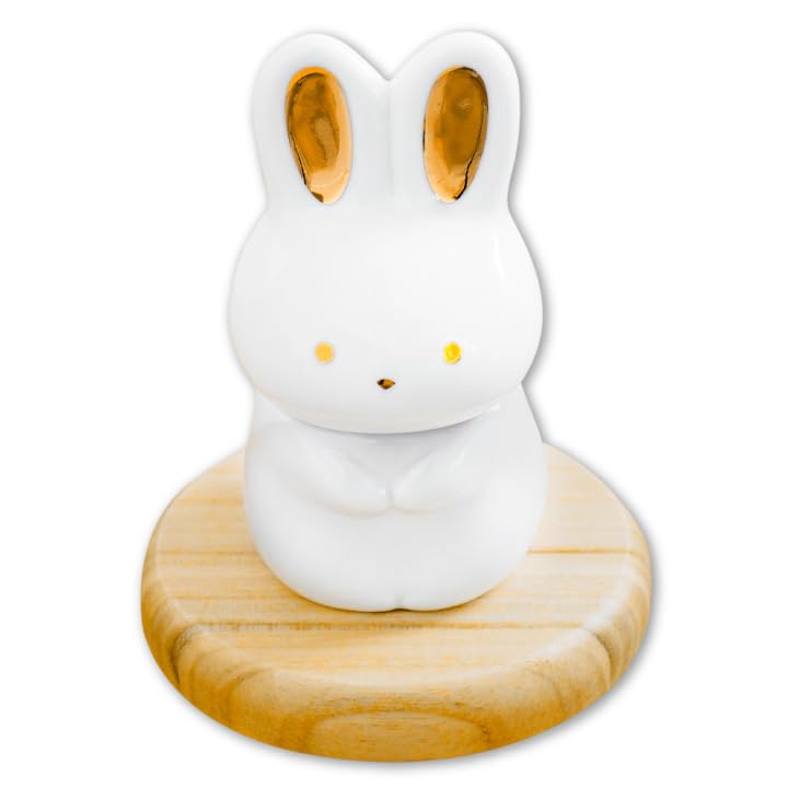 Sitting Urn for Pets, Pet Cremation Urn, Mini Urn, Memorial Urn, Pet Memorial, Small Urn, Keepsake Urn (Rabbit)