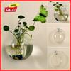 2 Stück Wandhängendes Pflanzen-Terrarium Behälter Vermehrungsstation Wandmontierte Blumenvase Luftpflanzen-Terrarium Heimdekoration