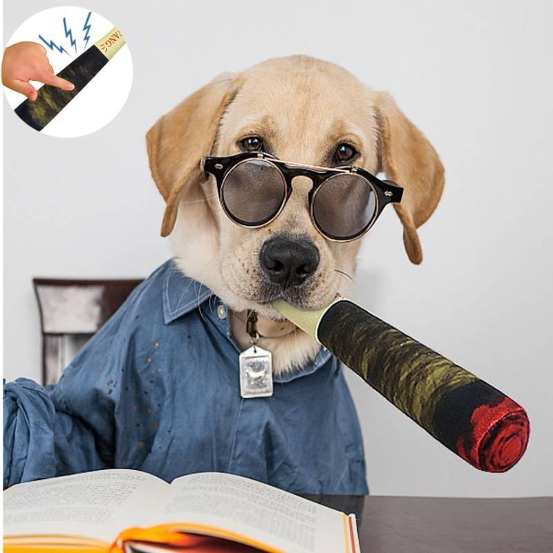 Jouet pour chien réaliste en forme de cigare vert Fabriqué en peluche de qualité supérieure Pour des animaux heureux