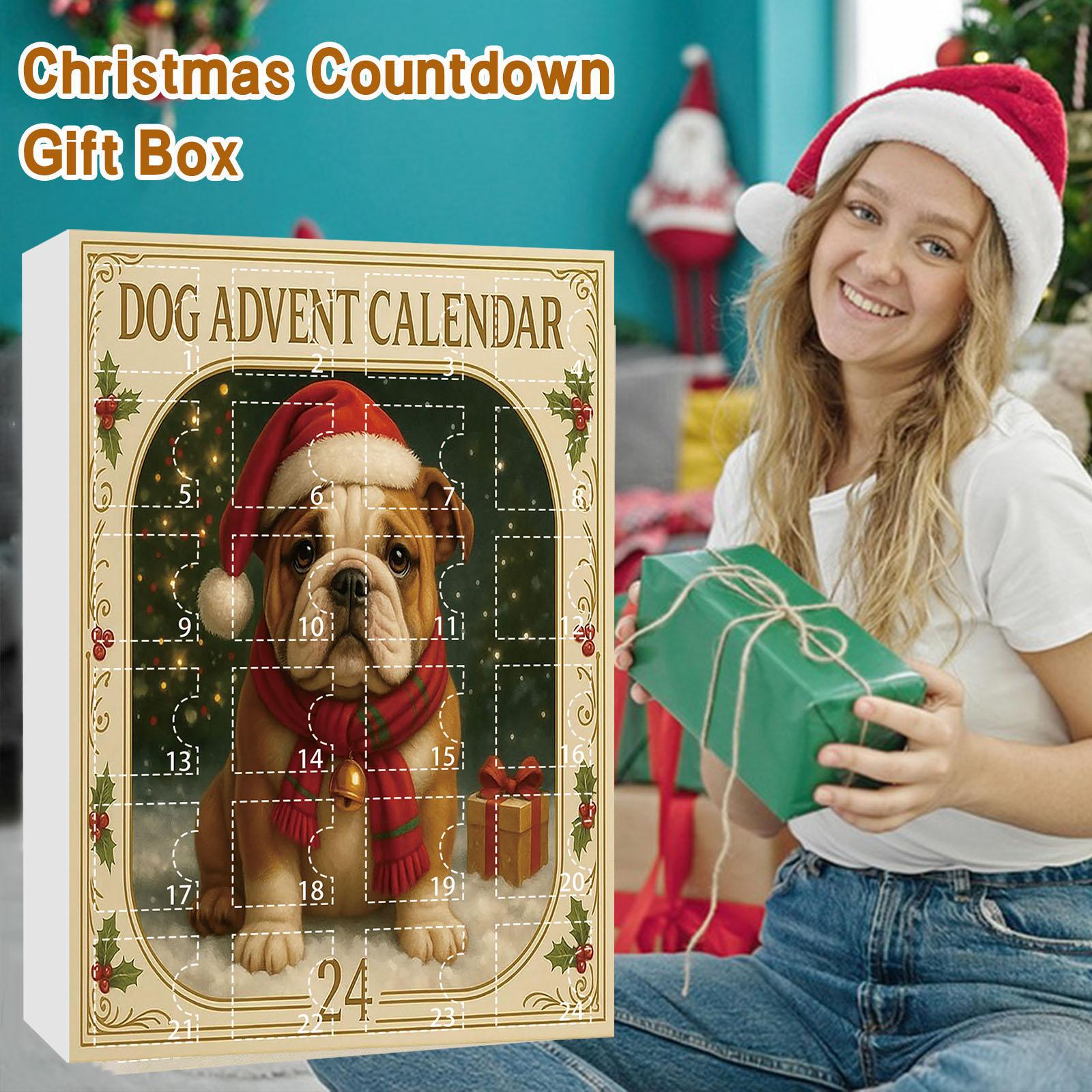 

Advent Calendar 2D Plane Box 24Pc Blind Box Series Christmas Countdown Calendar Holiday Festive Gift Christmas Decor Calendar One Size