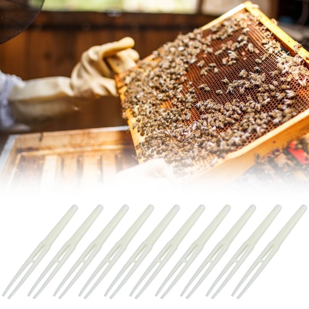 10PCS Beekeeping Birth Control Tweezers Apiculture Equipment Beekeeper Beekeeping Tools