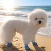 4lots Dog Paw Protectors Silicones Rain Shoes Slip Resistant Durability Comfortable Fit for Outdoor Activity