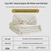 Ciyun Yunduo 100% Tussah Silk Quilt with Pure Cotton Cover