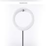 Modern Chinese Twisted Wire Ring Ornament - Creative Living Room Decor