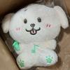 NCT Wish Jaehee 30cm Wish Doll Daengtriver