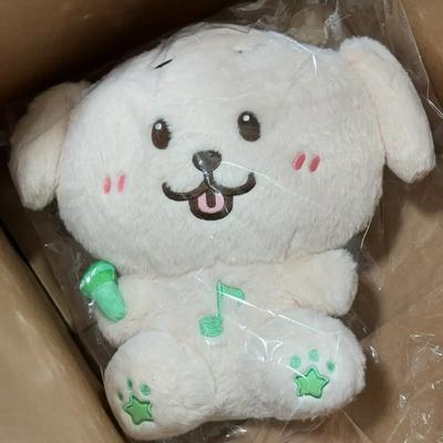 NCT Wish Jaehee 30cm Wish Doll Daengtriver