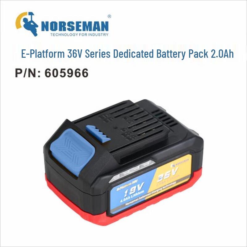 Nuosiman 36V Lithium Battery CN plug (adapter included)