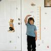 Height Measuring Wall ers with Cartoon Animals PVC Self Decals for Childs Room Living Room Decor 60 30cm Set of 2