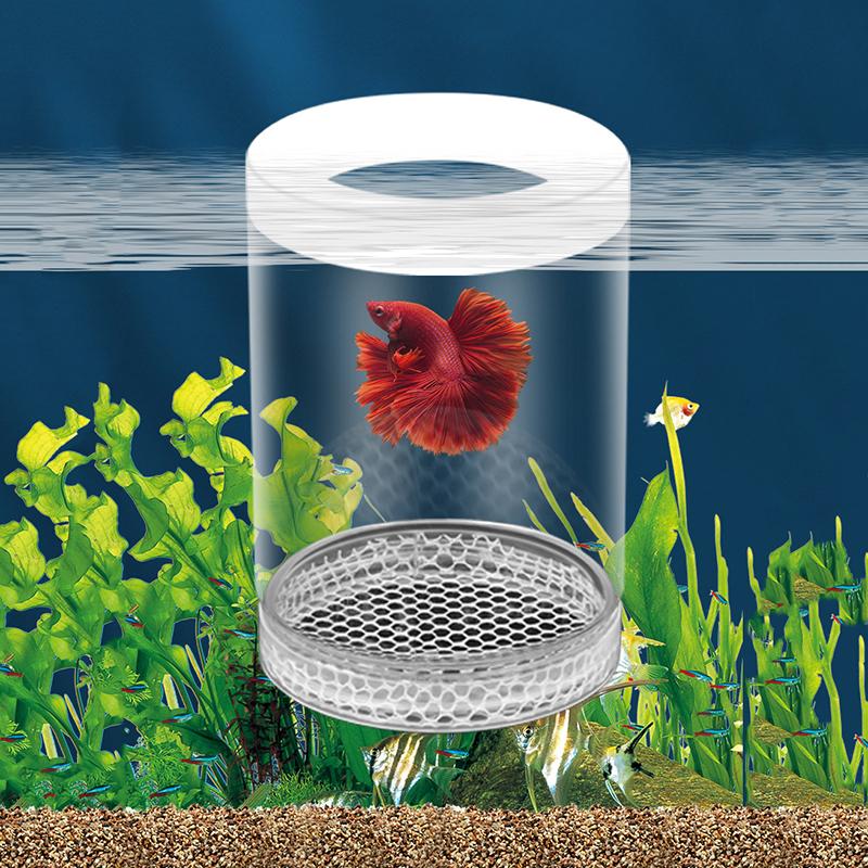 Scatola di Isolamento per l'Allevamento di Pesci Galleggianti Acquario Incubatrice per la Schiusa Incubatrice per la Schiusa Mangiatoia Incubatoio per Acquario