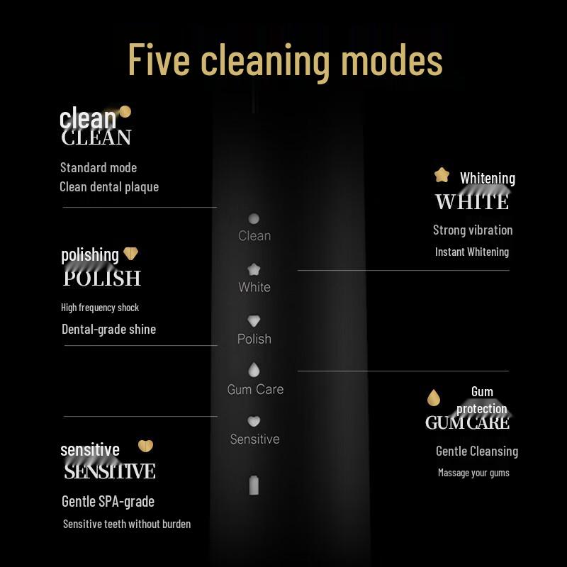 Lion Magnetic Levitation Sonic Electric Toothbrush