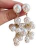 Luxury High-End Temperament Winter Earrings 2026 Minimalist Super Fairy Beaded Fringe Atmospheric Versatile Fashion Studs